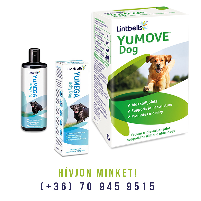 vitamin kutyaknak